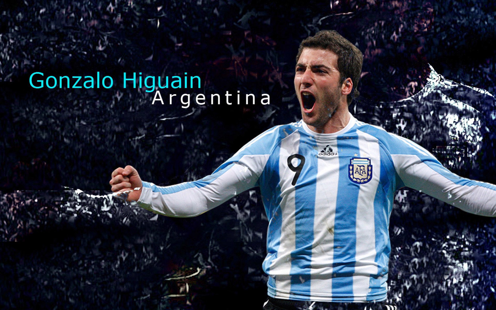 中国游泳队加强专项训练，备战重要赛事，中国游泳队参加的项目